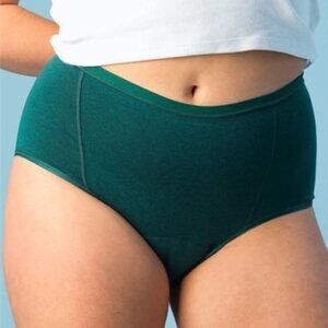 Aisle BOOST Brief - Leakproof High-Rise Period Undies with Adjustable Absorbency